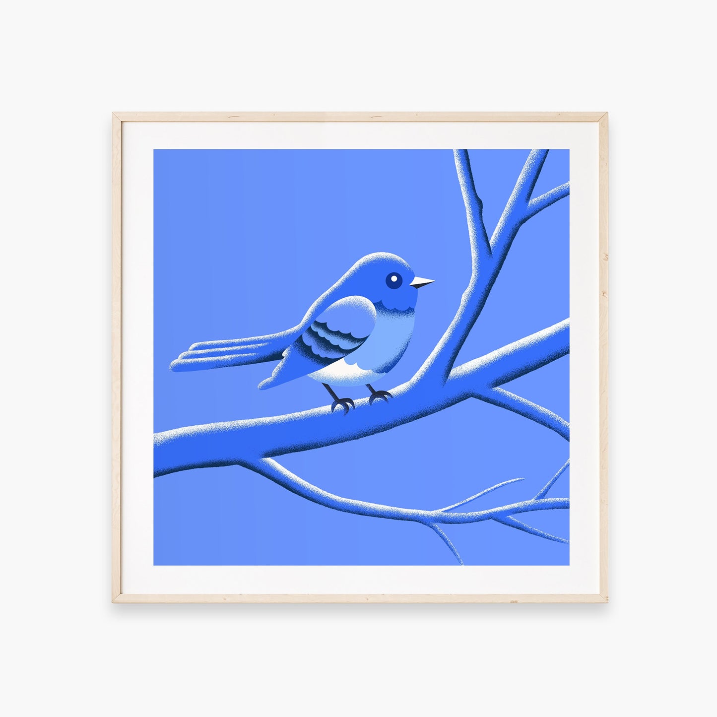 Blue Bird-SQ4723244